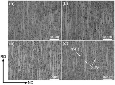 Effect of Yttrium Contents on the Microstructure of a Hot-Rolled Tantalum-Containing 12Cr-ODS Steel